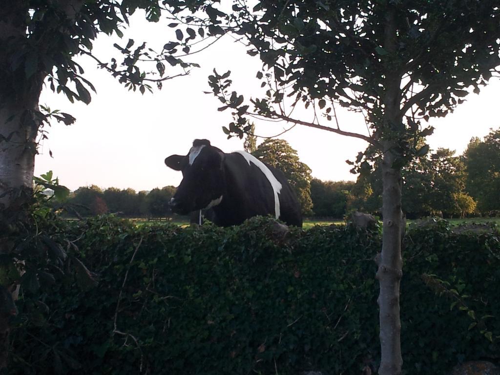 Appartamento Bishops Farm Thornbury  Esterno foto